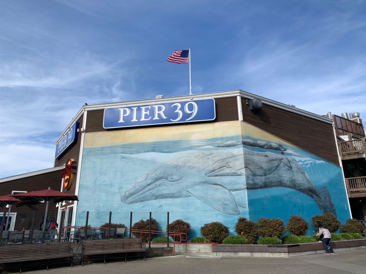 ピア39で腹ごしらえ。食べたかったロブスターロール。