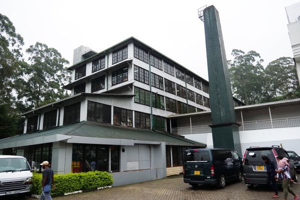 スリランカ・Colombo「スリランカ10日間」の写真：ヌワラエリヤではDAMON tea ga...