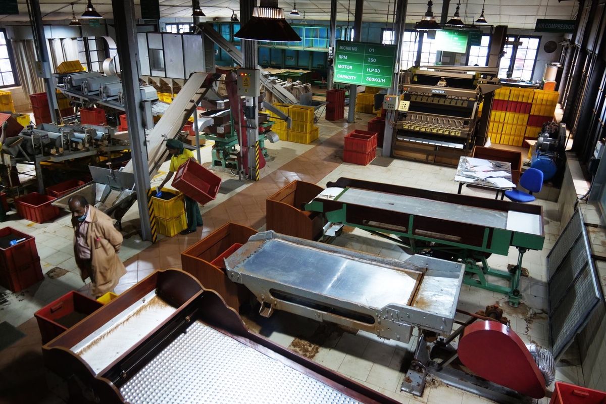 ヌワラエリヤではDAMON tea garden へ。
紅茶工場の見学は無...