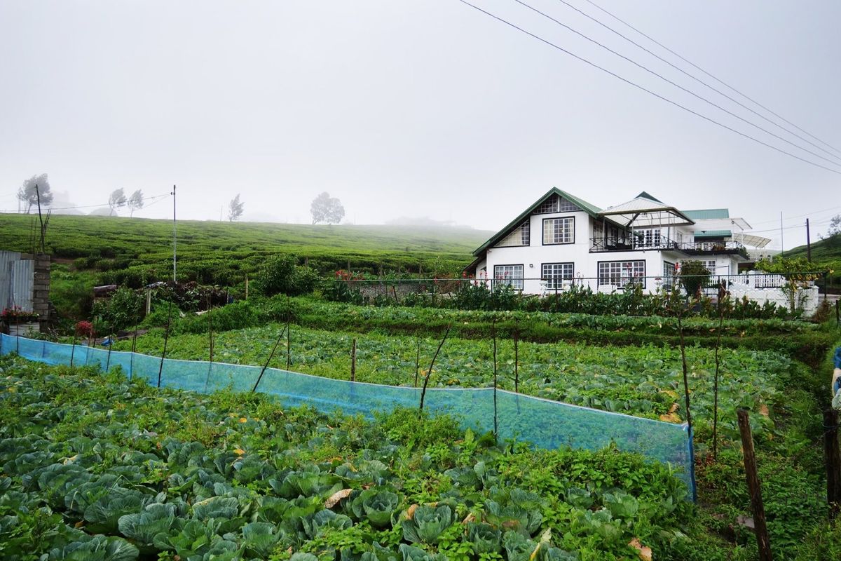 ヌワラエリヤの町は標高2000m近くて、風が強く寒かった。
乾燥して暑かっ...