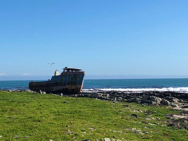 南アフリカ・ケープタウン「ペンギン調査に参加！」の写真：ロベン島の一般人は立ち入り禁止のエリアに...