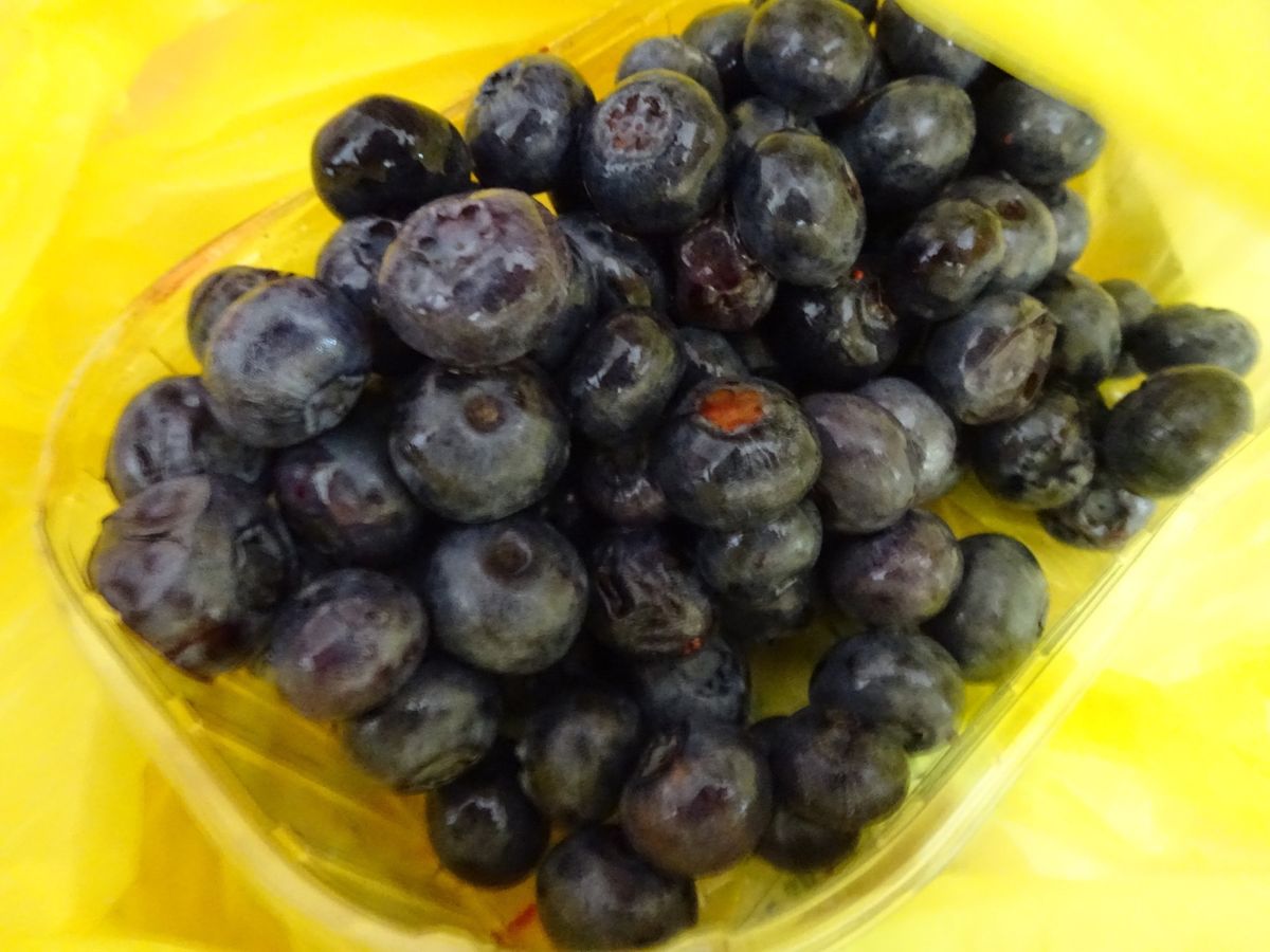 街の上にあるかわいい教会。
ザグレブはとっても花が綺麗な印象。