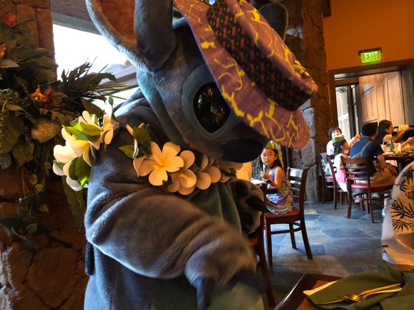 アメリカ(米国)・Waikiki「ハワイ旅行」の写真：アウラニのスティッチがノリノリで可愛い💕...