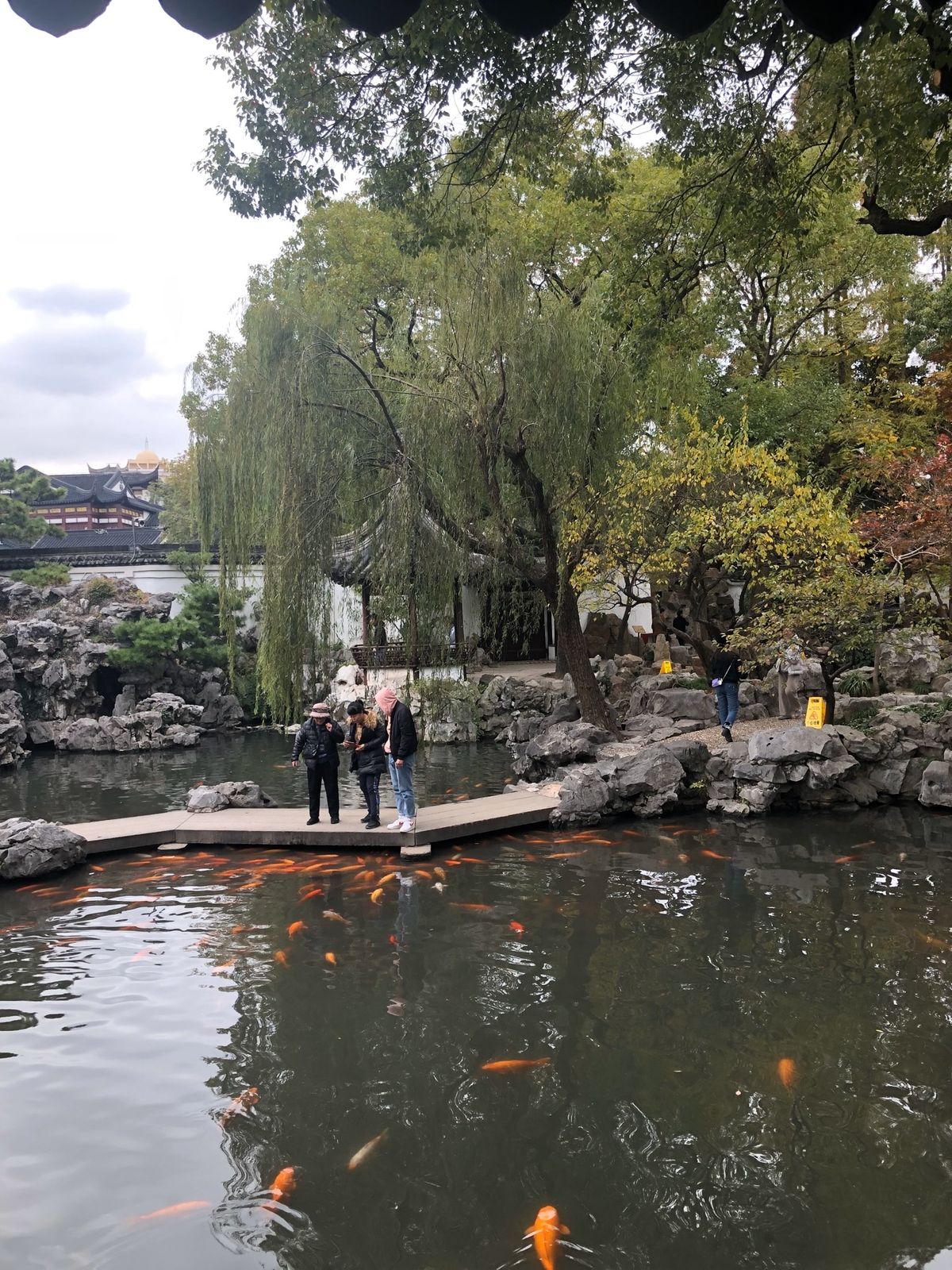 2019年11月末上海へ。
親友と2人で行く上海は格別の思い出になりました🥰