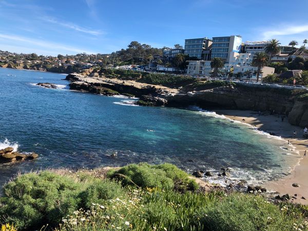 アメリカ(米国)・サンディエゴ「短期研究留学UCSD America🇺🇸」の写真：サンディエゴ はほどよく静かで住みやすい...