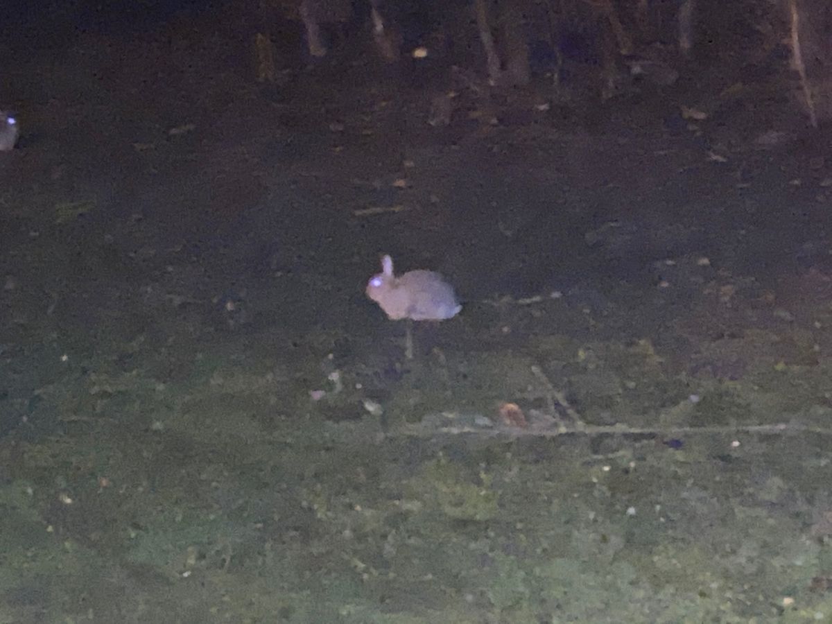 ドイツ再び。
いや、ローマは単なる1日観光でしたw

今回フランクフルトの...