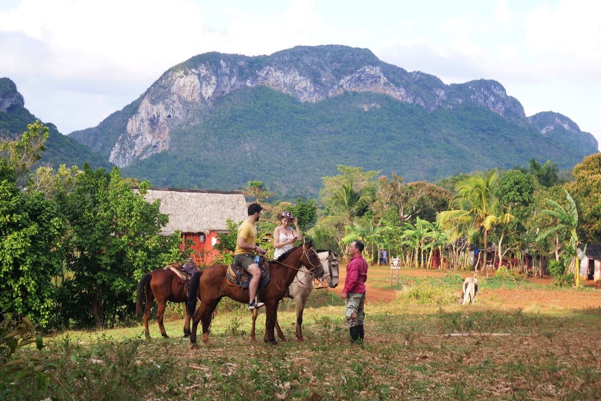 ビニャーレスでは馬に乗ってタバコ農園へ。
出発時間がいろいろあるので、朝に...