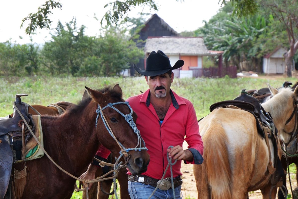 ビニャーレスでは馬に乗ってタバコ農園へ。
出発時間がいろいろあるので、朝に...