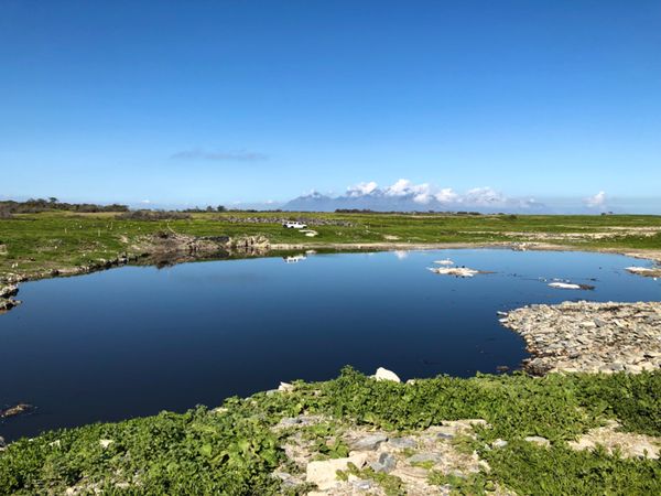 南アフリカ・ケープタウン「ペンギン調査に参加！」の写真：この湖？もロベン島の一般人立ち入り禁止エ...