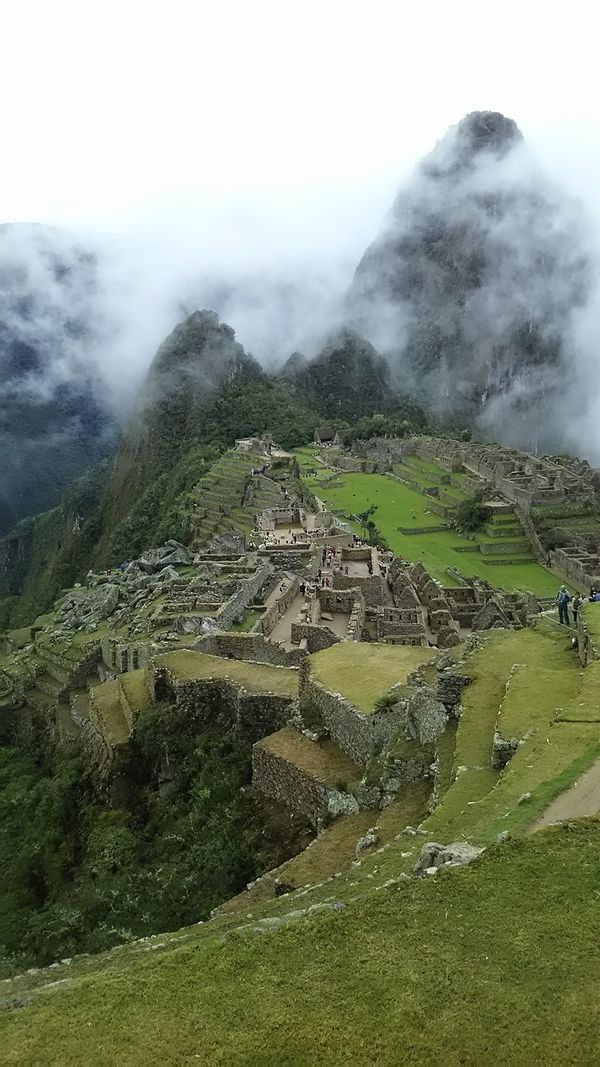 ペルー・マチュピチュ「旅行好きと中南米旅行Peru🇵🇪編」の写真：マチュピチュ登山⛰アルパカ🦙パカパカ