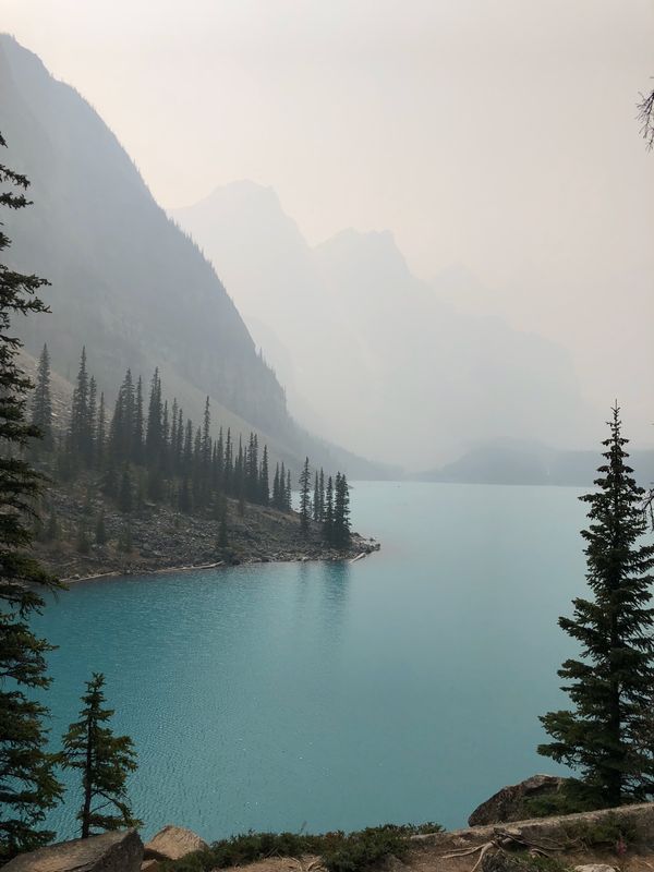 カナダ・バンクーバー「念願の短期語学留学Canada🇨🇦」の写真：バンクーバー 滞在中に1人で英語のロッキ...