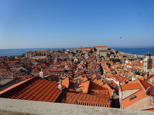 クロアチア・ドゥブロヴニク「ドゥブロヴニク」の写真：朝は旧市街の城壁の上をゆっくり散歩