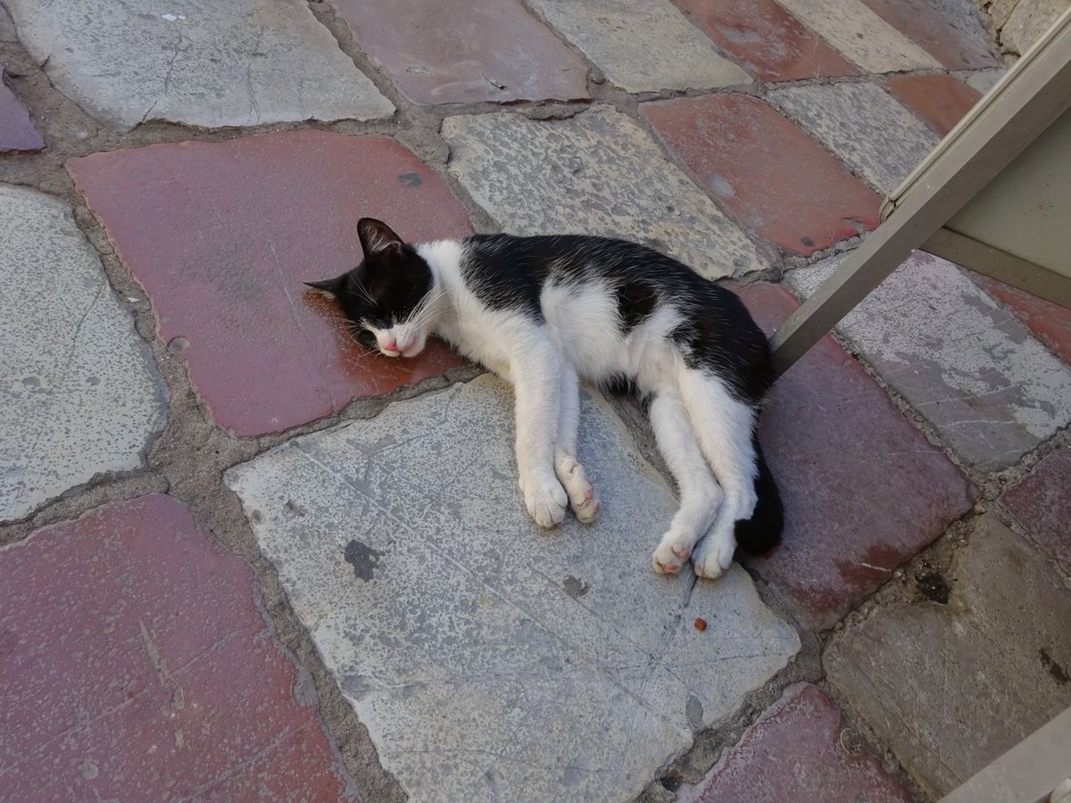 後ろには山、前には海。
守りやすい城塞都市だったそう。
建物はみんな低い。...