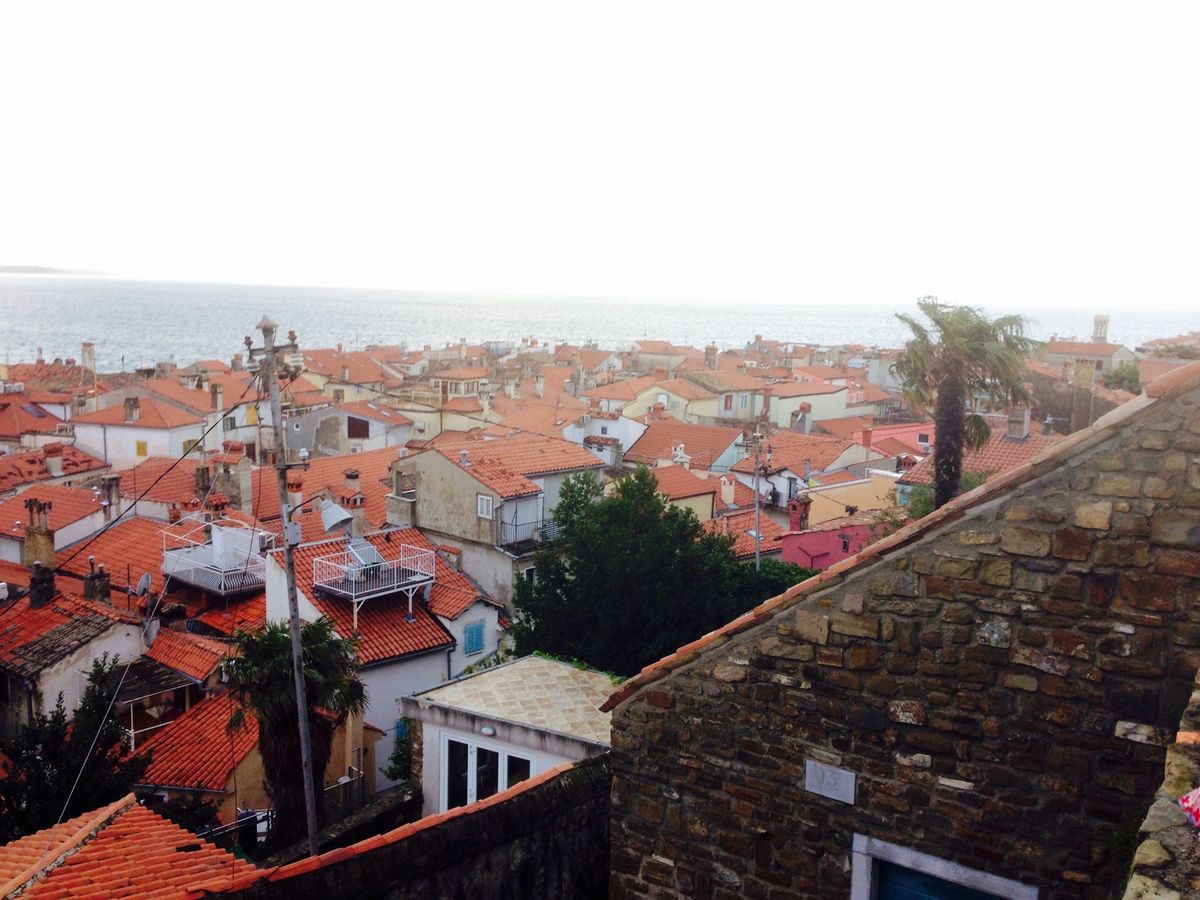 ピランへ
地中海沿いのスコールにやられたけど、
雨上がりが幻想的でした