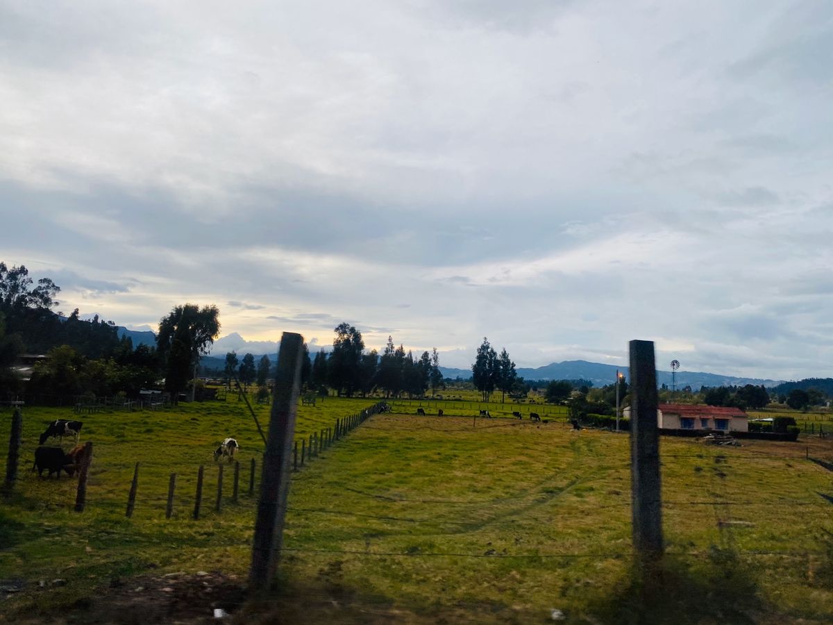 biund for Barbosa from Cajica and we ...