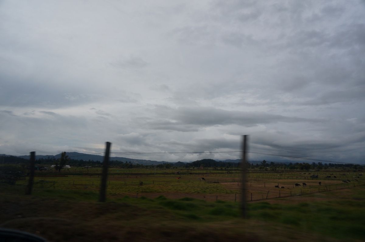 bound for Barbosa from Cajica