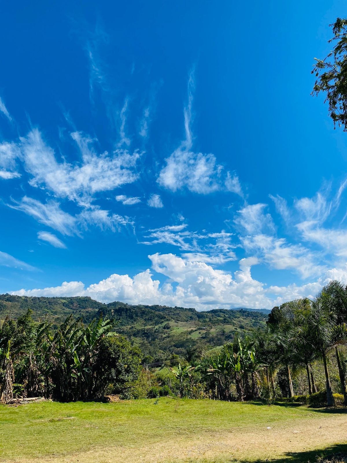 at Barbosa. i love this place because...