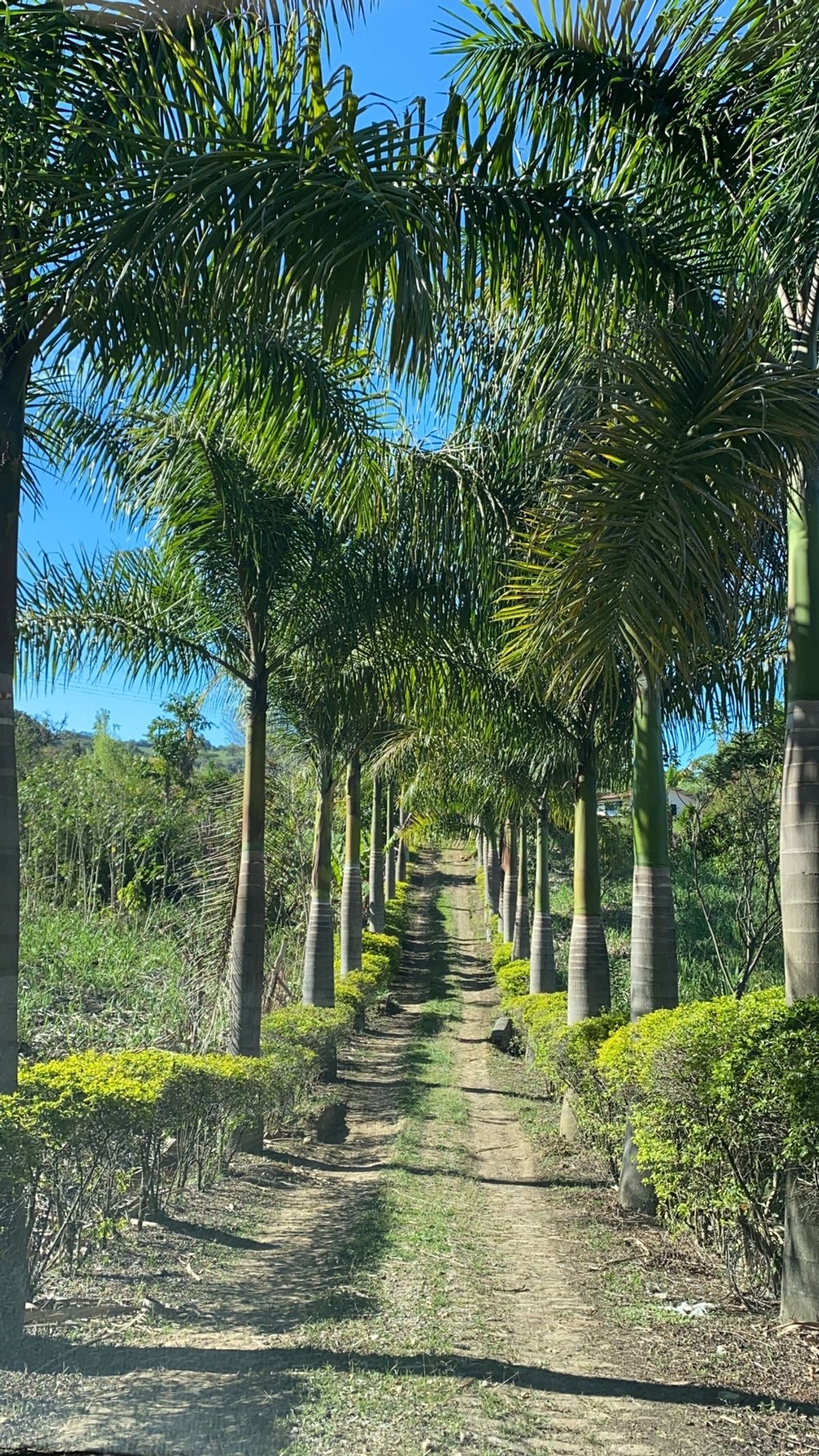 i love my best frien’s home gate!!