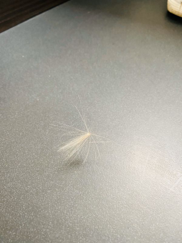 コロンビア・ボゴタ「コロンビア旅行」の写真：Angel 