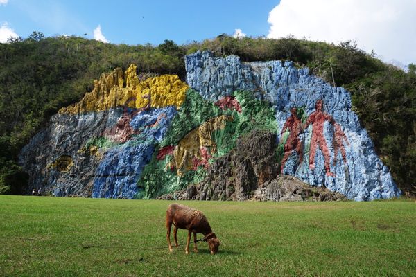 ジャマイカ・Kingston「カリブ旅」の写真：ビニャーレスの町の郊外には謎の巨大壁画が...