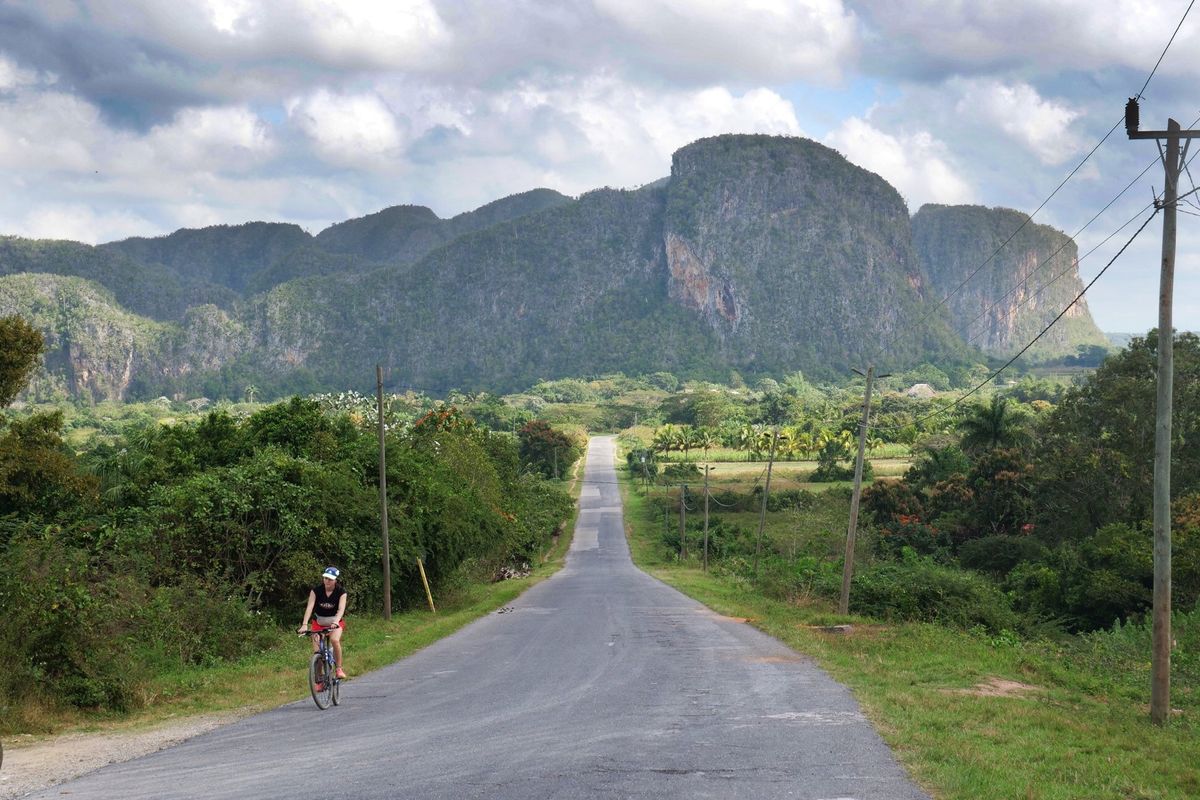 ビニャーレスの町の郊外には謎の巨大壁画が。
キャノピーも楽しかった。
サイ...