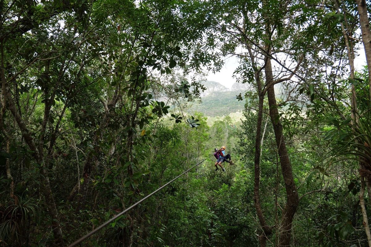 ビニャーレスの町の郊外には謎の巨大壁画が。
キャノピーも楽しかった。
サイ...