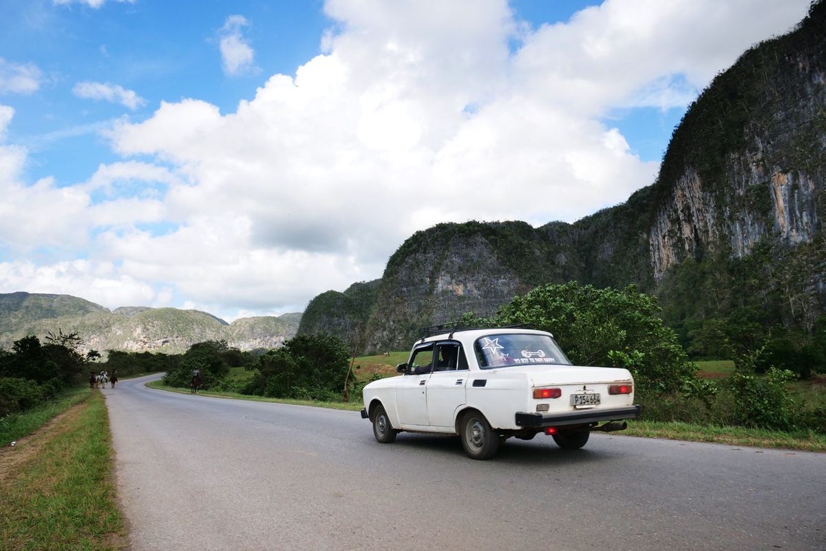 ビニャーレスの町の郊外には謎の巨大壁画が。
キャノピーも楽しかった。
サイ...