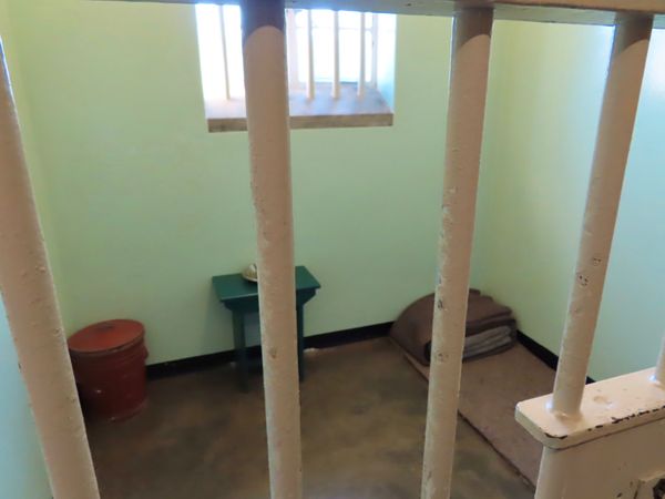 南アフリカ・ケープタウン「ペンギン調査に参加！」の写真：ネルソン・マンデラ大統領が収容されていた...