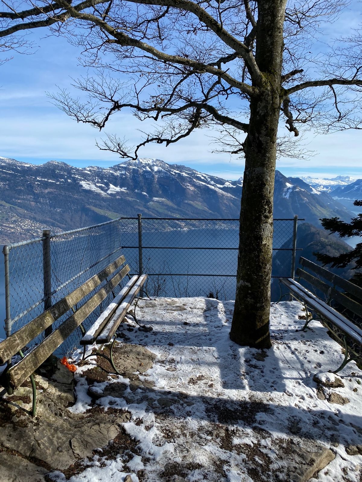 3、40分ほどの山道を歩いてビルケンシュトックの山頂に着いた。でも、人がい...