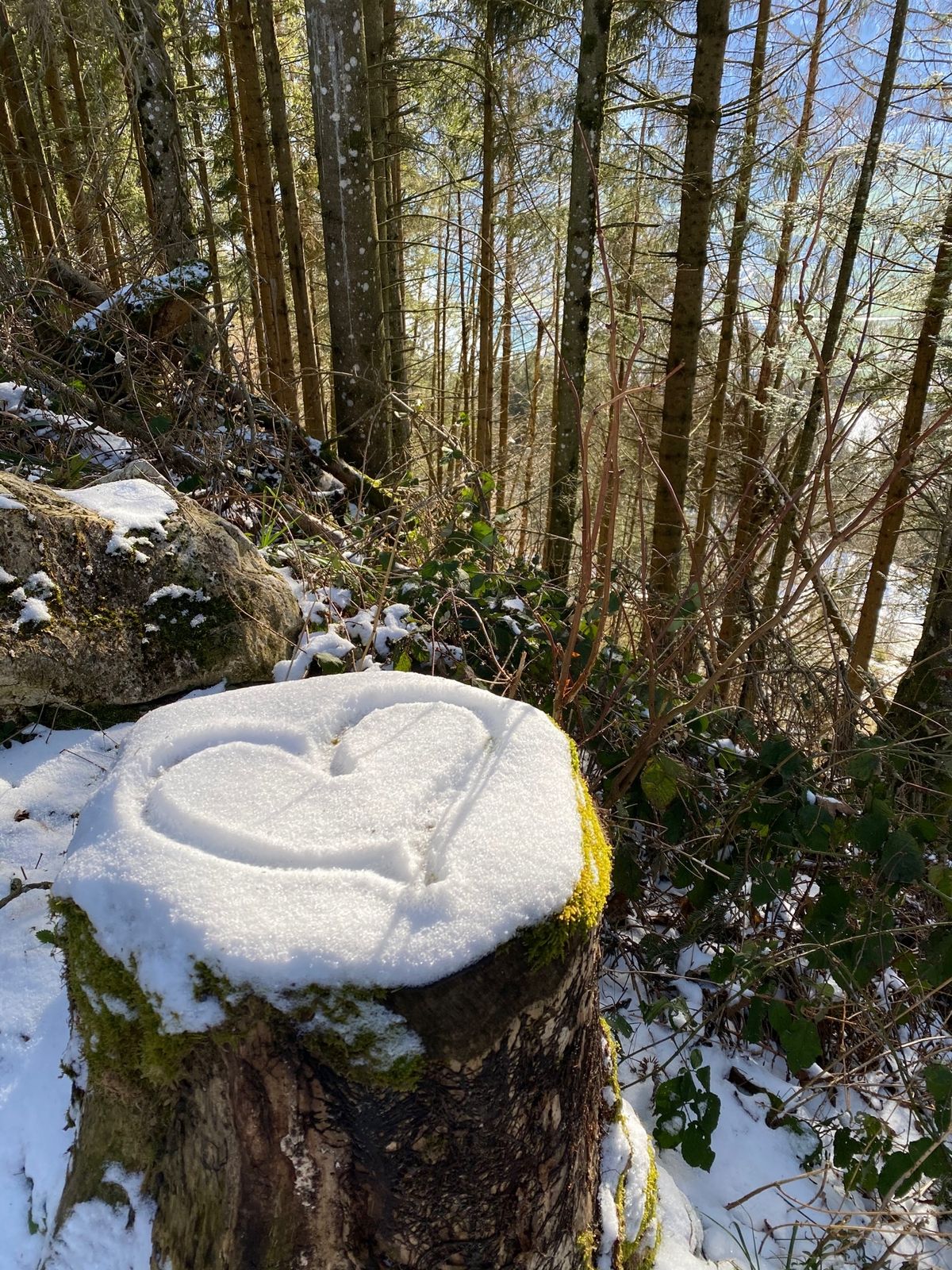 3、40分ほどの山道を歩いてビルケンシュトックの山頂に着いた。でも、人がい...