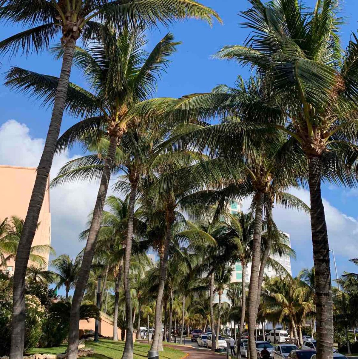 後半はホテルゾーン🏝