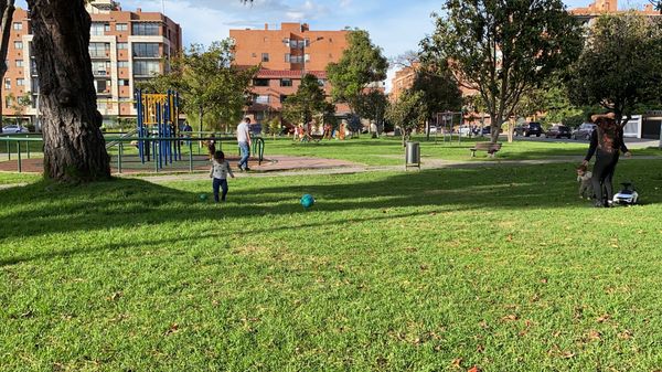 コロンビア・ボゴタ「コロンビア旅行」の写真：kids and dogs are fu...