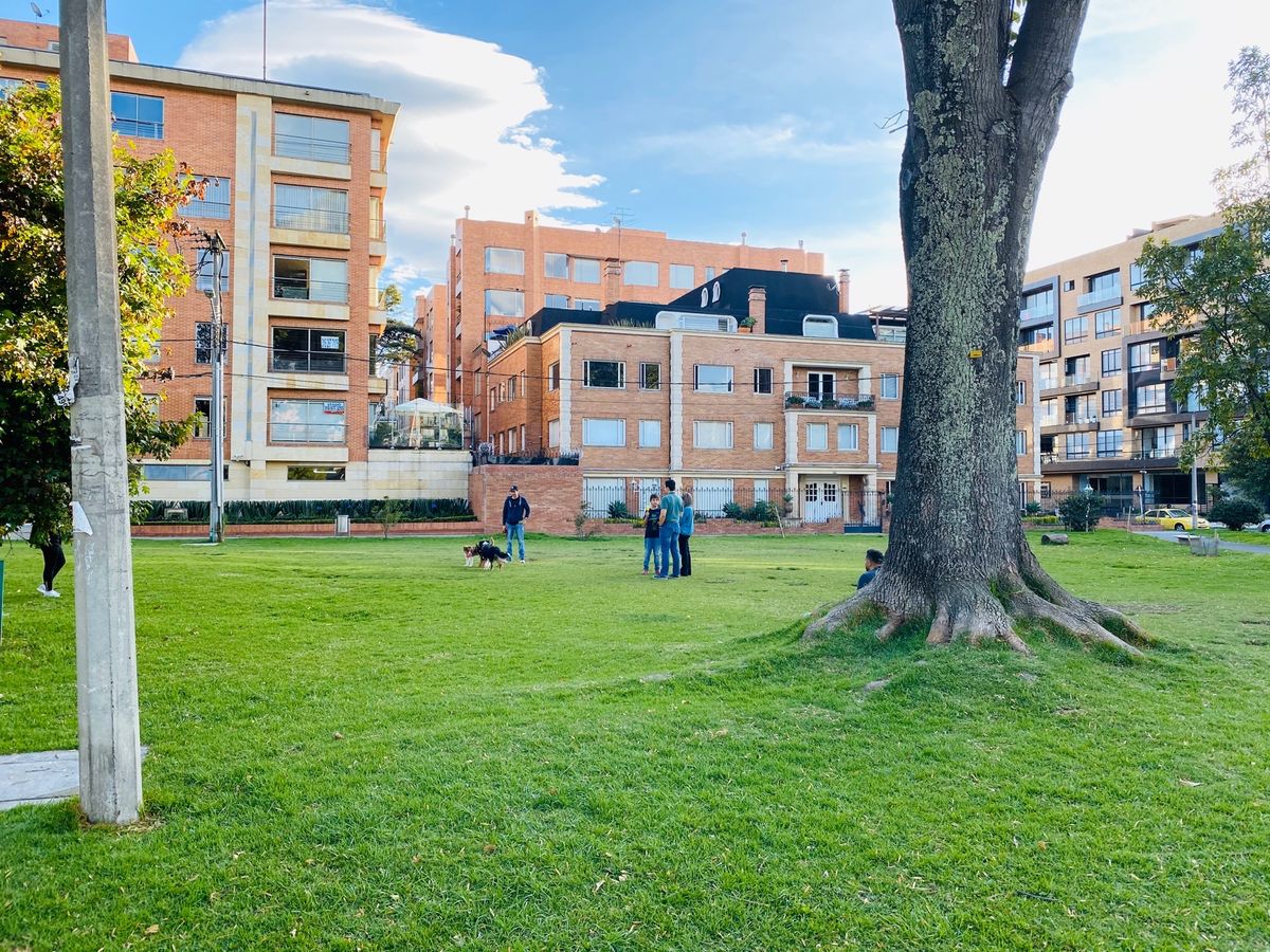 also dogs play and running around her...