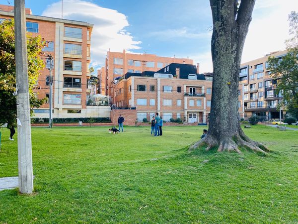 コロンビア・ボゴタ「コロンビア旅行」の写真：also dogs play and r...