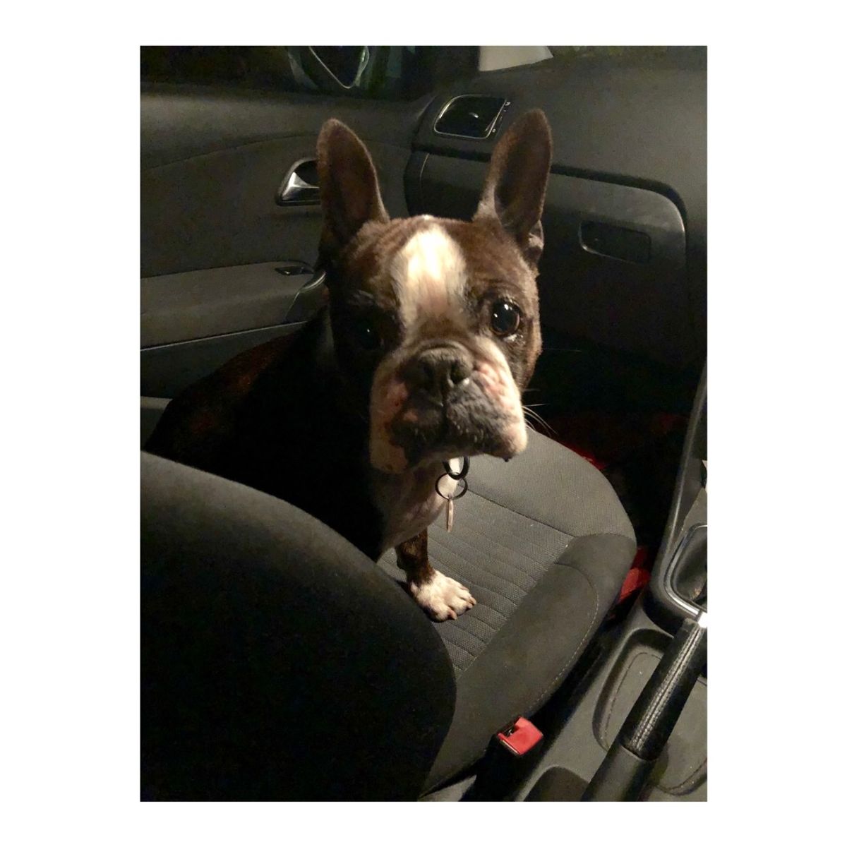 ペンギン調査がお休みの日は、
ロベン島に残ってもいいし、ケープタウンに出て...