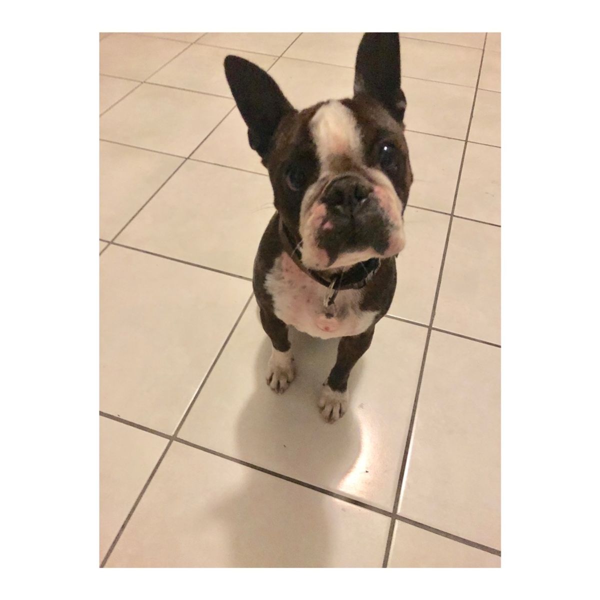 ペンギン調査がお休みの日は、
ロベン島に残ってもいいし、ケープタウンに出て...