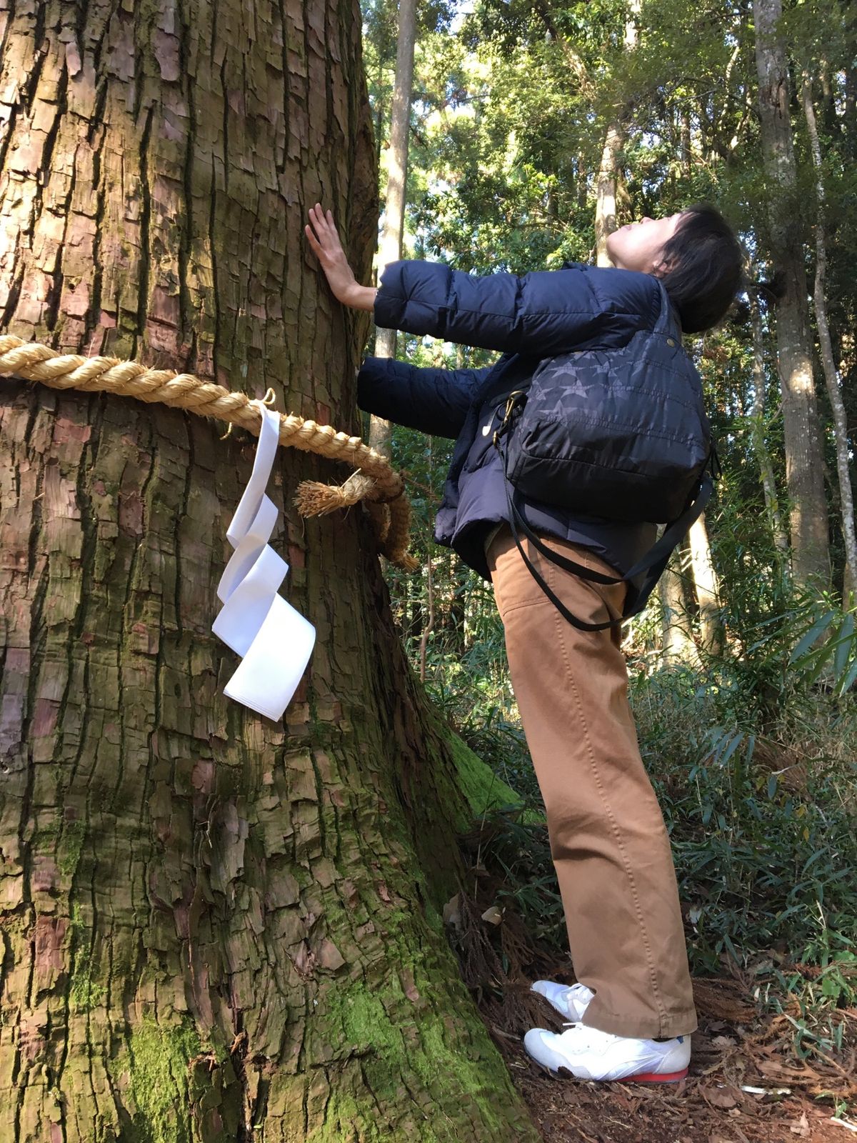 土佐神社→高知城→ひろめ市場