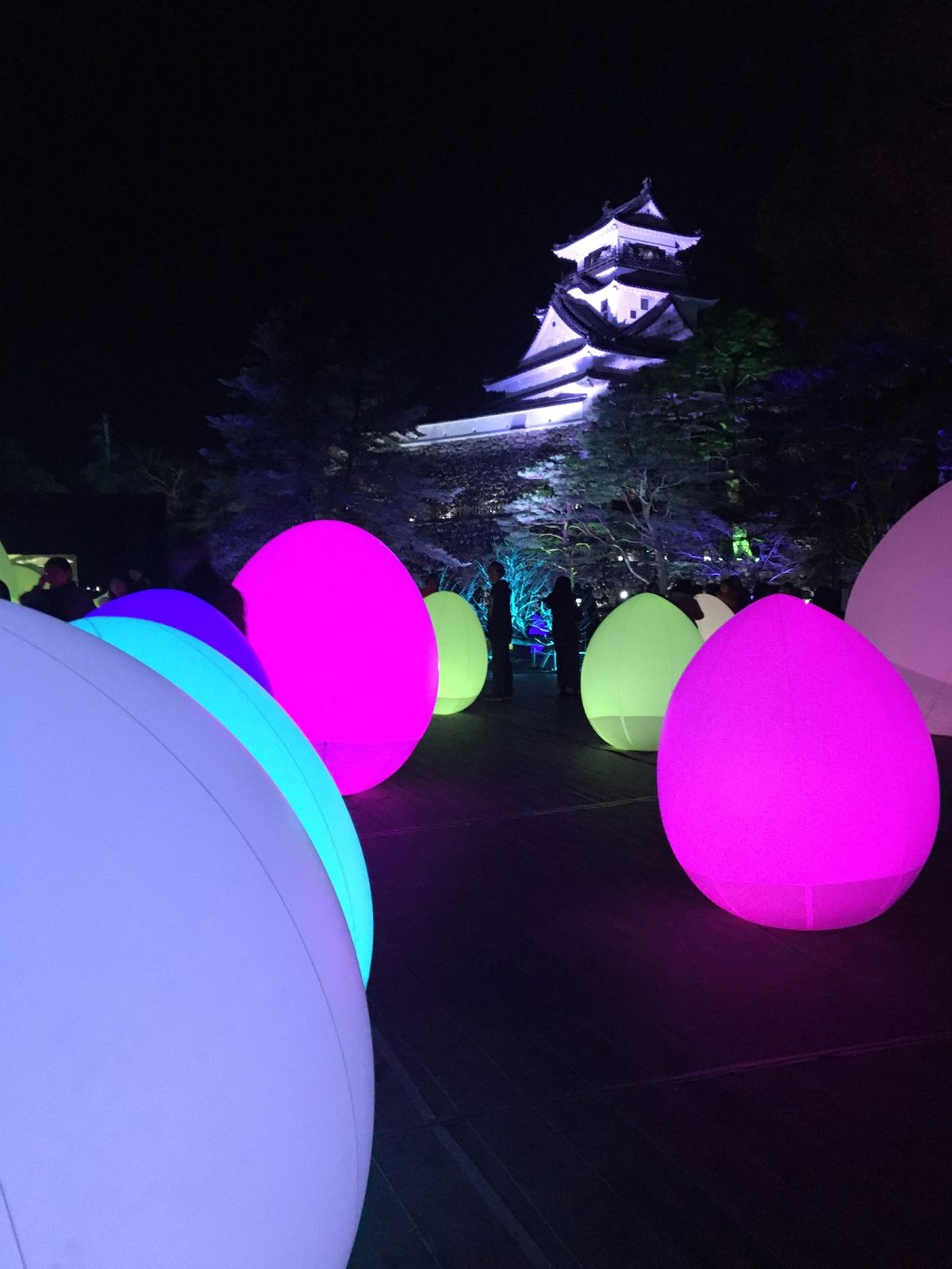 土佐神社→高知城→ひろめ市場
