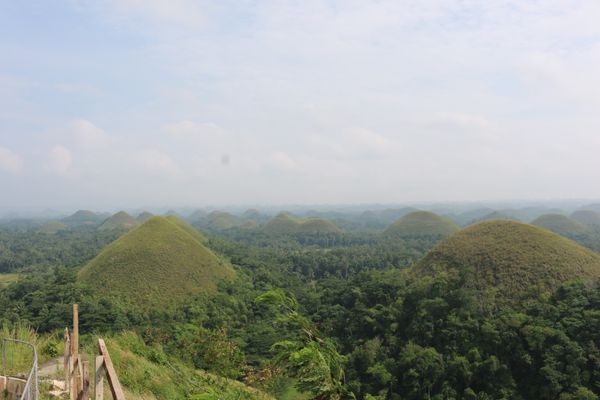 フィリピン・セブ　ボホール「不思議な丘への旅」の写真