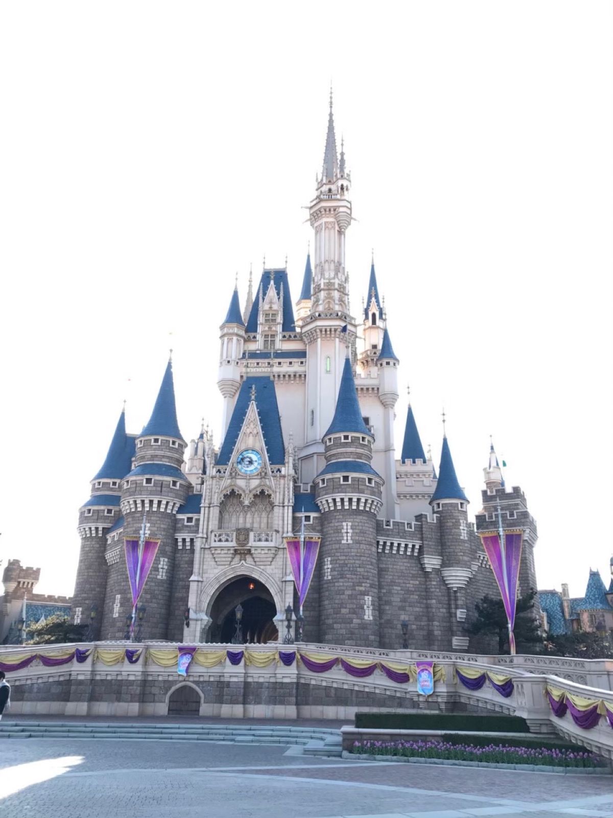 誕生月ディズニー、夢のミラコスタ宿泊で15分前入場。
人がいなすぎてさいの...