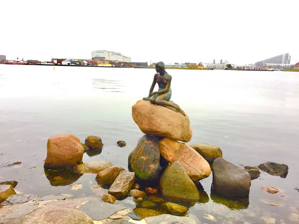 デンマーク・コペンハーゲン「デンマーク コペンハーゲン♡」の写真：リトルマーメイドとロイヤルコペンハーゲン♡