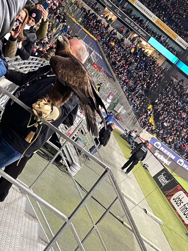 ドイツ・フランクフルト「ドイツ」の写真：Attilaが一番カッコ良かった^^