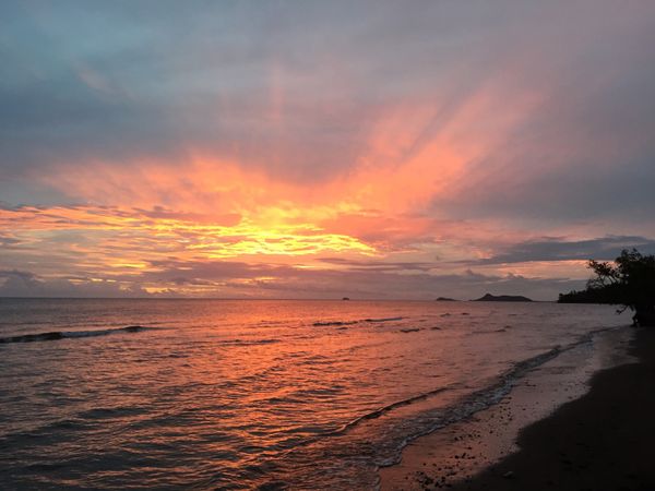 バヌアツ「バヌアツ、ニューカレドニア」の写真：Plumの夕陽、クリスマスイブのディナー