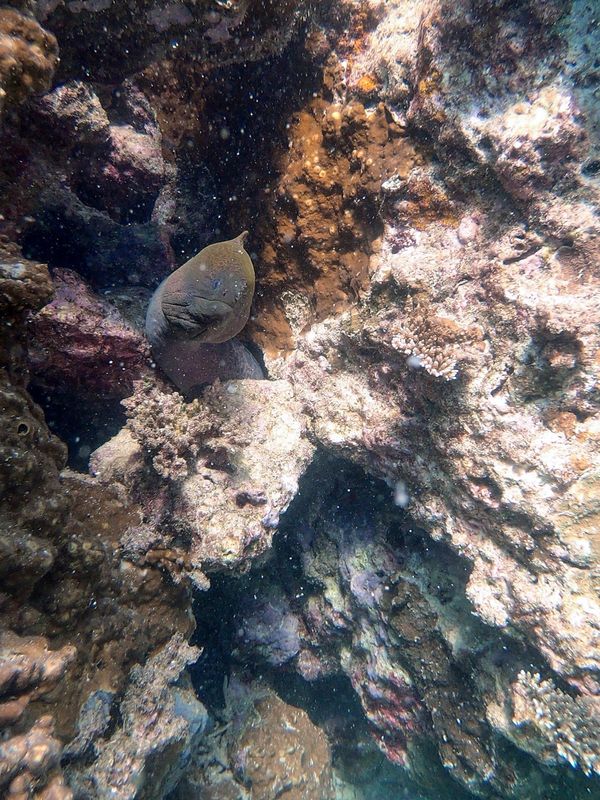 ニューカレドニア・ヌメア「201910 🇳🇨New Caledonia」の写真