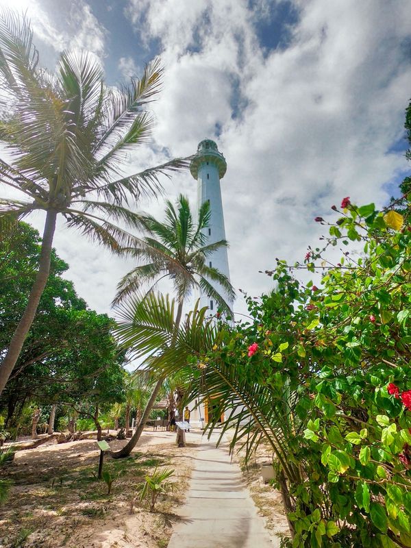 ニューカレドニア・ヌメア「201910 🇳🇨New Caledonia」の写真