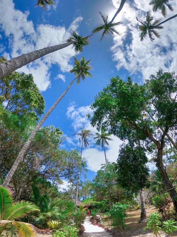 ニューカレドニア・ヌメア「201910 🇳🇨New Caledonia」の写真