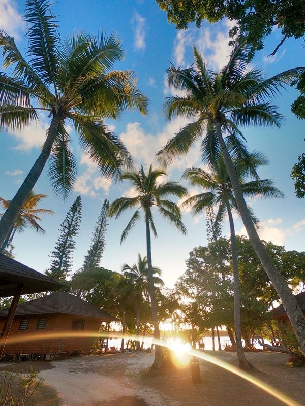 ニューカレドニア・ヌメア「201910 🇳🇨New Caledonia」の写真