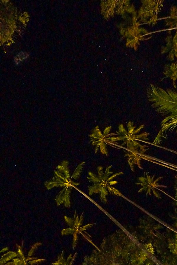 ニューカレドニア・ヌメア「201910 🇳🇨New Caledonia」の写真