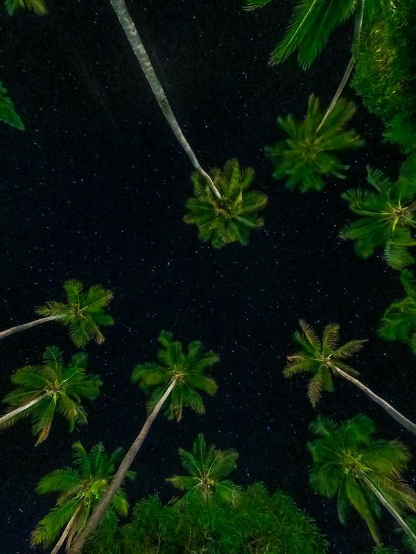 ニューカレドニア・ヌメア「201910 🇳🇨New Caledonia」の写真