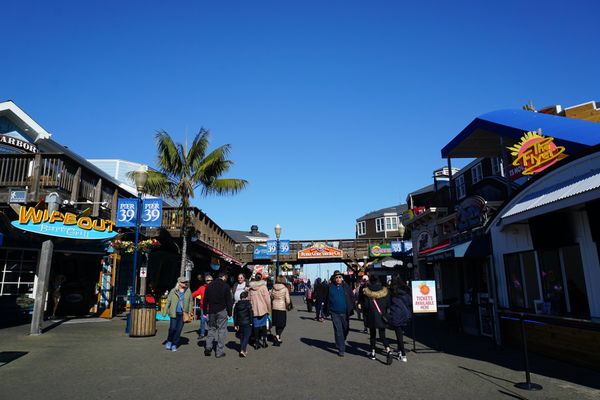アメリカ(米国)・サンフランシスコ「201901 🇺🇸USA」の写真